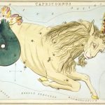 The Capricorn Personality